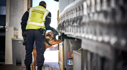 A Koninklijke Marechaussee officer and a sniffer dog checking a truck on the Hoek van Holland ferry to the United Kingdom 
