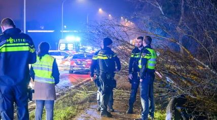 A police-involved chase that started near Amstelveen, Noord-Holland, ended in a crash just over the border in Meer, Belgium, 120 kilometers away. 5 Feb. 2026