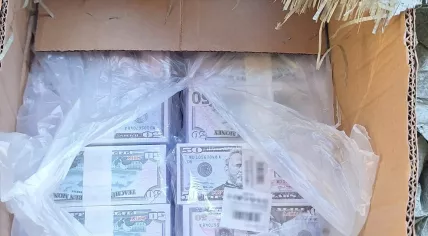 Box of counterfeit cash seized during an Europol operation involving 18 countries, February 2026.
