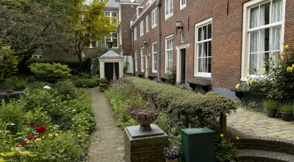 Homes and a garden in Amsterdam