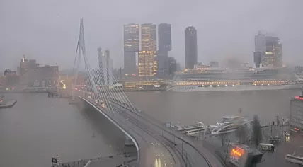 A gray winter morning at the Erasmus Bridge in Rotterdam, 19 February 2026