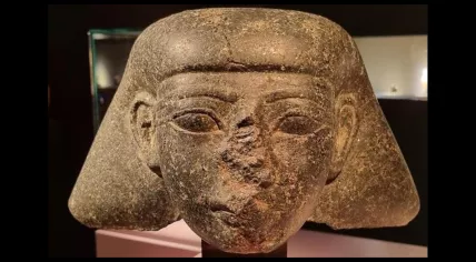 A sculpted head believed to depict a high-ranking official from the reign of Pharaoh Thutmose III from the 15th century BCE, seized by Dutch police at TEFAF in Maastricht in 2022.