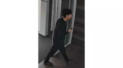 Teenager wanted for posing as cop and robbing a 90-year-old woman in Breda, 3 September 2025