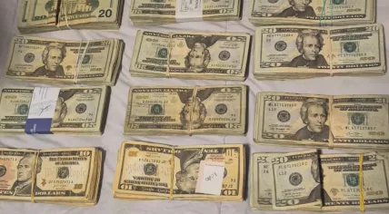 Items seized during an international operation against a cocaine trafficking network linked to the Ecuadorian cartel Los Lobos, 3 March 2026
