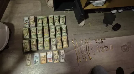 Items seized during an international operation against a cocaine trafficking network linked to the Ecuadorian cartel Los Lobos, 3 March 2026