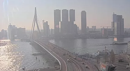 A slightly foggy morning at the Erasmus Bridge in Rotterdam, 23 March 2026