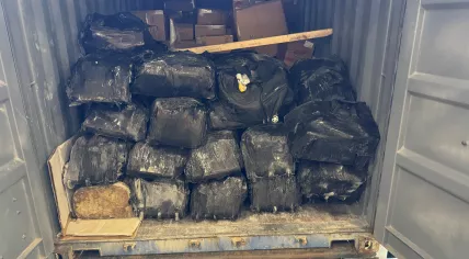 Dutch Customs seize over 1,400 kilograms of cocaine in Rotterdam Port. April 4, 2026.