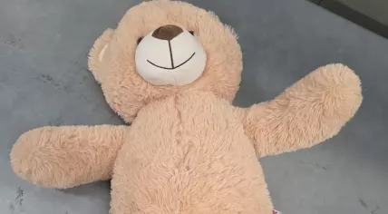 Police in the Westelijke Mijnstreek region intercepted 50,000 euros hidden inside a teddy bear at a DHL postal sorting center in Beek, near Maastricht Aachen Airport. April 12, 2026