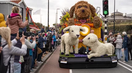 A Bloemencorso Bollenstreek float decorated with lambs and a puppy makes its way through Noordwijk en route to Haarlem, April 18, 2026.