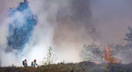 Firefighters at work on the Oirschotse Heide in Noord-Brabant, where a wildfire has broken out. The fire is burning near the Dutch Armed Forces' Major General De Ruyter van Steveninck Barracks, west of Eindhoven.