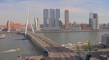 A water taxi passes by a busy terrace below the Erasmus Bridge in Rotterdam on a sunny day. 8 Apr. 2026