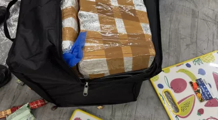 Dutch authorities have arrested four suspects in Lochem after uncovering 365 kilograms of cocaine hidden in a shipment of household goods from Curaçao. April 2026.