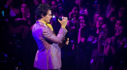 Harry Styles performs at the Mediolanum Forum in Assago, Milan. April 2018.
