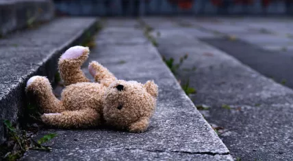 A lost teddy.