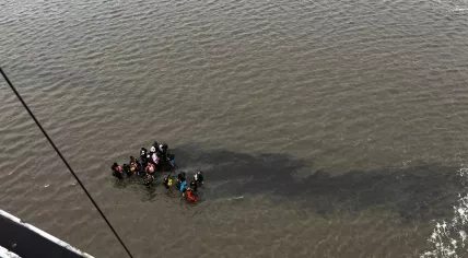 Over 30 hikers rescued from Ameland mudflats Sunday morning; Some with hypothermia. May 17, 2026