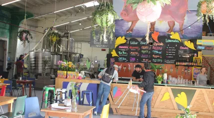 Oedipus Brewing, Amsterdam-Noord.