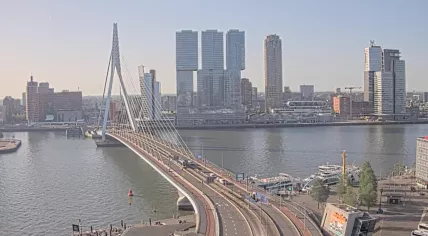 Clear skies over the Erasmus Bridge in Rotterdam on a hot Tuesday morning, 26 May 2026