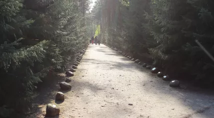 Memorial lane at the Sobibor WWII German extermination camp memorial in Poland