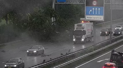 Stormy weather brought down parts of a tree along the side of the A13 motorway, forcing the closure of three lanes near Delft. 29 May 2026