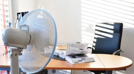 Fan in the office leafing a book