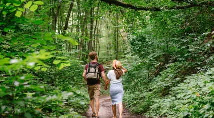 Walking through a forest