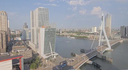 Blue skies on a hot day in Rotterdam, 19 June 2026