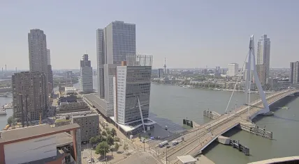 A scorching hot day in Rotterdam. 25 June 2026