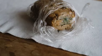 Moldy bread