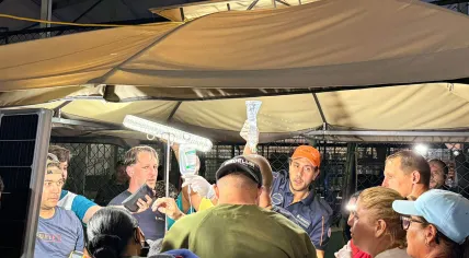 A Dutch search and rescue team assists assisted in the rescue and treatment of a boy five days after two earthquakes struck northern Venezuela. 29 June 2026 