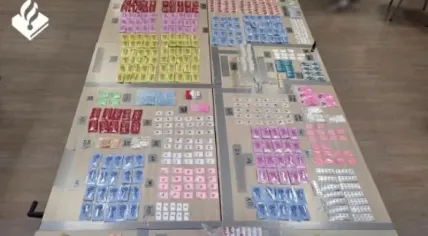 Police seize drugs, illegal medicines in Amsterdam-Noord home and storage unit. July 11, 2026.