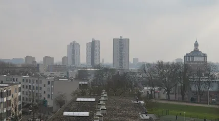 De Esch neighborhood in Rotterdam, photo taken from an apartment building on Hermin Bavincklaan on 1 April 2018