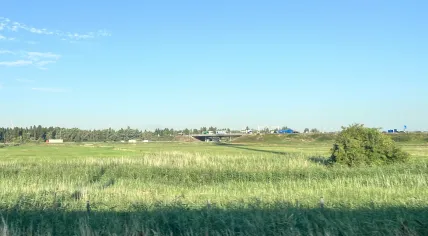 A bright and sunny morning near Moerdijk, Zuid-Holland, along the A16 motorway. 15 July 2026
