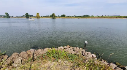 Low water levels in the Maas river, 16 August 2022