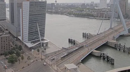 Two trams limp away from the Erasmus Bridge in Rotterdam after a collision injured 15 people. 22 July 2026