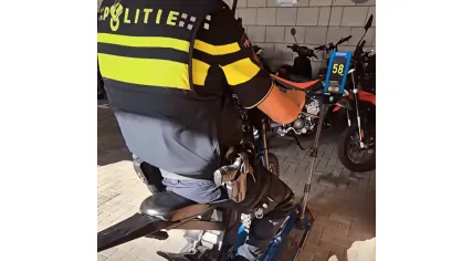 Delft police catch 11-year-old riding a fatbike with a top speed of 58 km/h, July 2026