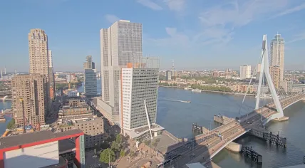 A bright summer's day at the Erasmus Bridge in Rotterdam, 28 July 2026