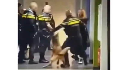 Police officers stand in a corridor at an asylum seekers’ center in Zeist during an arrest in which a pregnant woman was pulled to the ground. May 19, 2026.