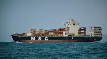The MSC Gina cargo ship, built in 1999 in South Korea, can carry up to 4,056 20-foot sea containers, and measures nearly 260 meters long by over 32 meters wide. Seen here near Gibraltar in 2018.