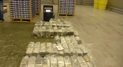 Cocaine in mangoes at the Rotterdam Port