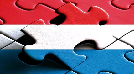 Netherlands flag jigsaw puzzle