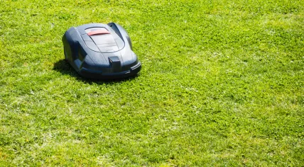 Robot lawnmower 