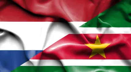 Flags of Suriname, Netherlands