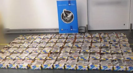 1,000 kilos of cocaine found at the port of Rotterdam in a pineapple shipment from Costa Rica, 17 August 2020
