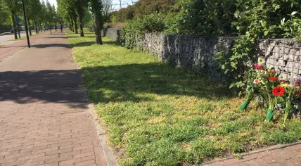 Flowers at the scene of a fatal shooting on the corner of Panamalaan and Borneolaan in Amsterdam Oost, 2 May 2020