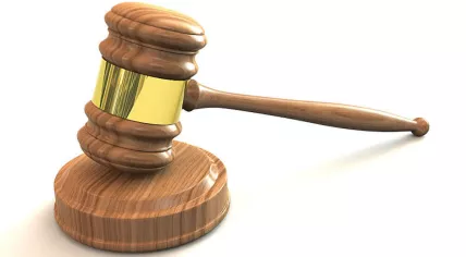 Gavel