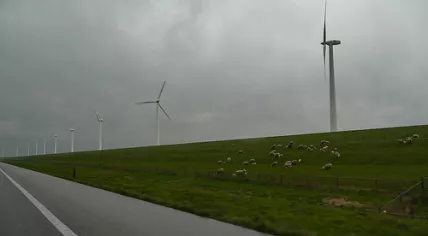 Wind Farm
