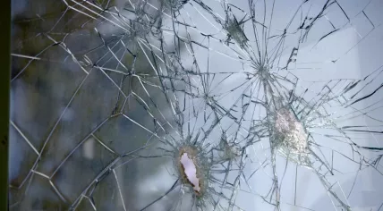 Bullets Through Glass