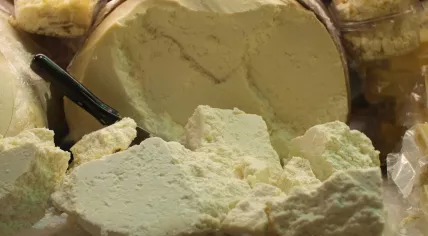Dairy Products