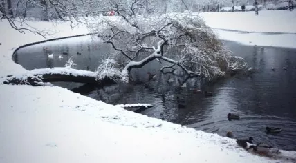 groningen snow