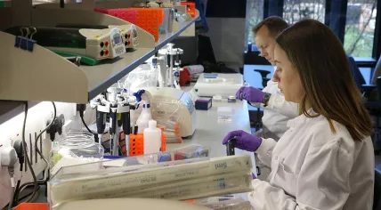 Lab research